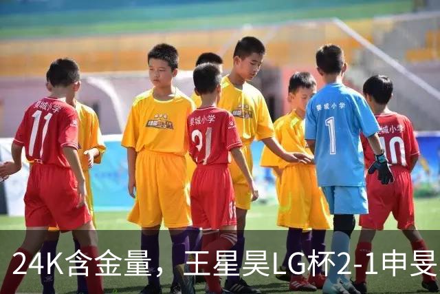 24K含金量，王星昊LG杯2-1申旻埈夺冠，局局领先大杀四方，中国围棋锐度提升